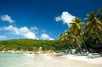 Resort Starfish Halcyon Cove Hotel Dickenson Bay